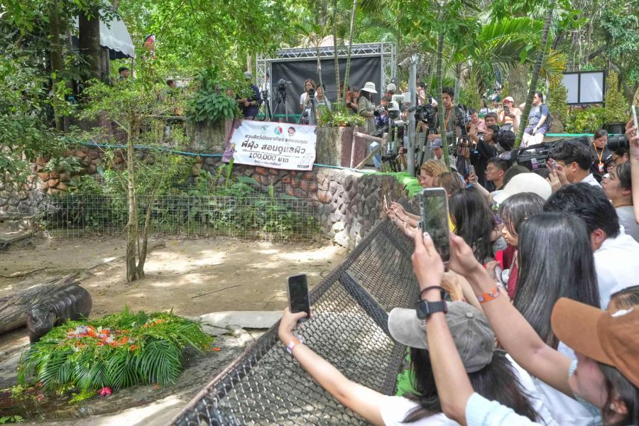 Pemilik kebun binatang di Thailand mengajukan keluhan atas ancaman dari pengunjung Israel