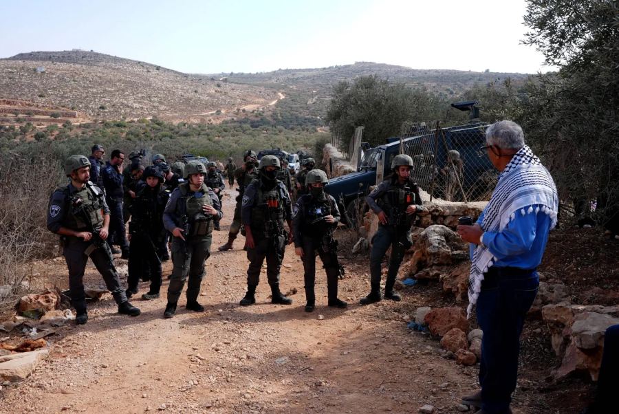 Pasukan Israel dan pemukim ilegal menargetkan panen zaitun Palestina di Tepi Barat yang diduduki: laporan