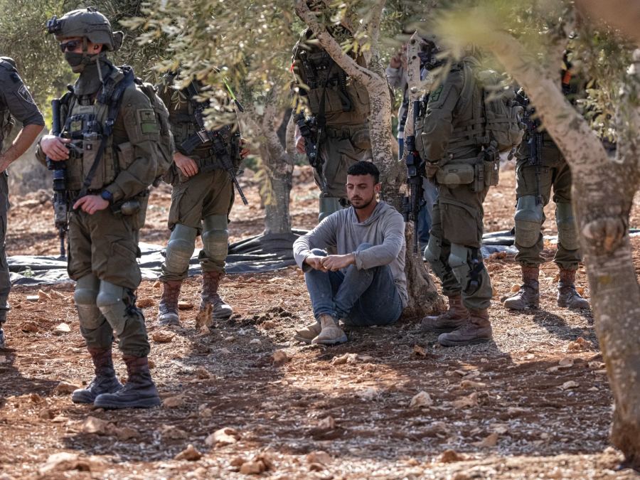 Israel menangkap 36 warga Palestina di Tepi Barat, dan serangan terhadap petani meningkat