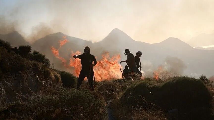 Kebakaran hutan di Aljazair merenggut sedikitnya 12 nyawa di beberapa provinsi