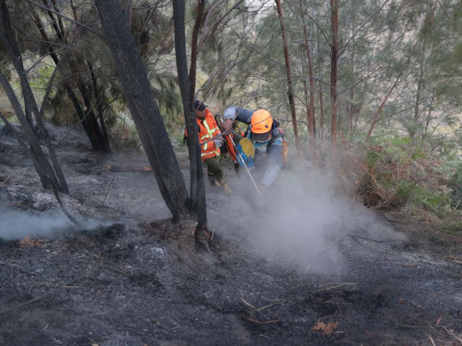 Indonesia meningkatkan jumlah pasukan untuk memerangi kebakaran hutan di Kalimantan