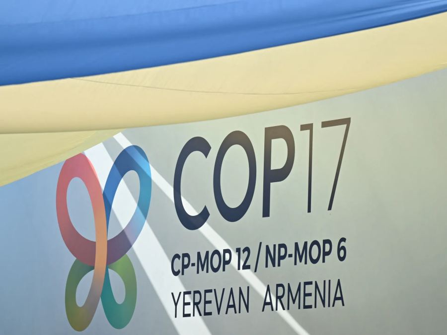 COP17 menyoroti catatan lingkungan hidup Armenia