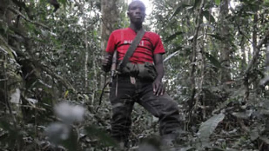 Apa itu FDLR dan mengapa ideologi anti-Tutsi masih bertahan?