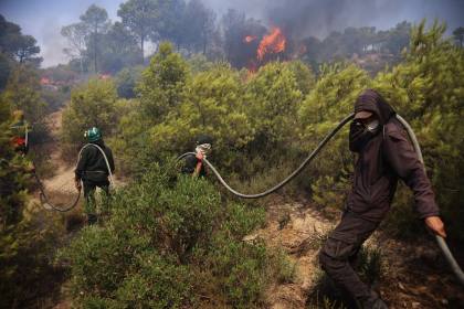 Kebakaran hutan menewaskan sedikitnya 12 orang di seluruh Aljazair saat gelombang panas parah melanda Afrika Utara