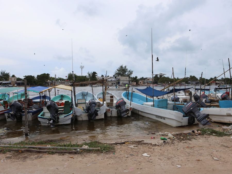 Limbah feses mencemari air minum di Yucatan, Meksiko, kata Greenpeace