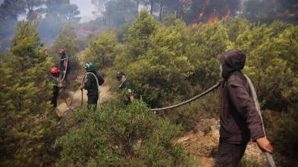Aljazair menghadapi 58 kebakaran hutan di tengah gelombang panas yang sedang berlangsung